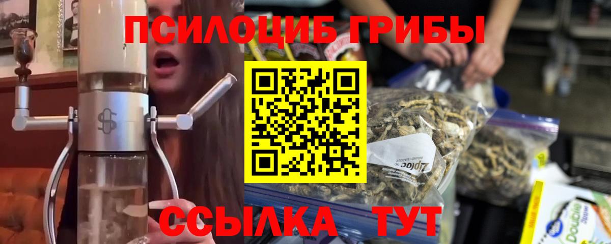 Галлюциногенные грибы Cubensis Новый Уренгой