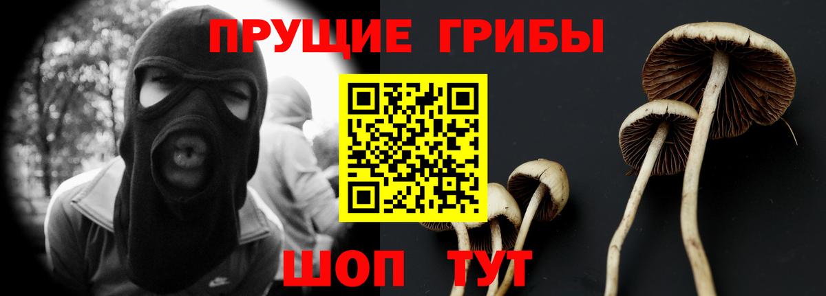 Псилоцибиновые грибы прущие грибы  Галлюциногенные грибы GOLDEN TEACHER  Новый Уренгой  Вход с VPN 