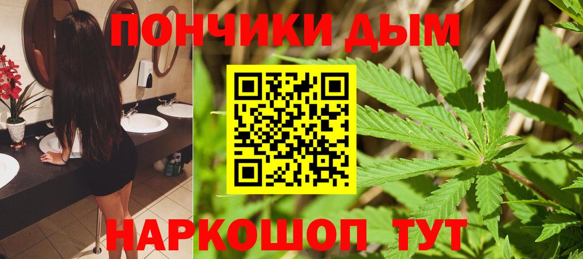 Шишки марихуана сатива Новый Уренгой
